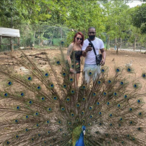 D'Boss farm and Doctors Cave beach