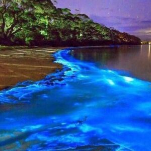 Dunns River Rafting, Blue Hole secret falls, bamboo rafting, and luminous lagoon